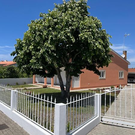 Moradia Alegre No Centro Da Vila Da Tocha. Zewnętrze zdjęcie